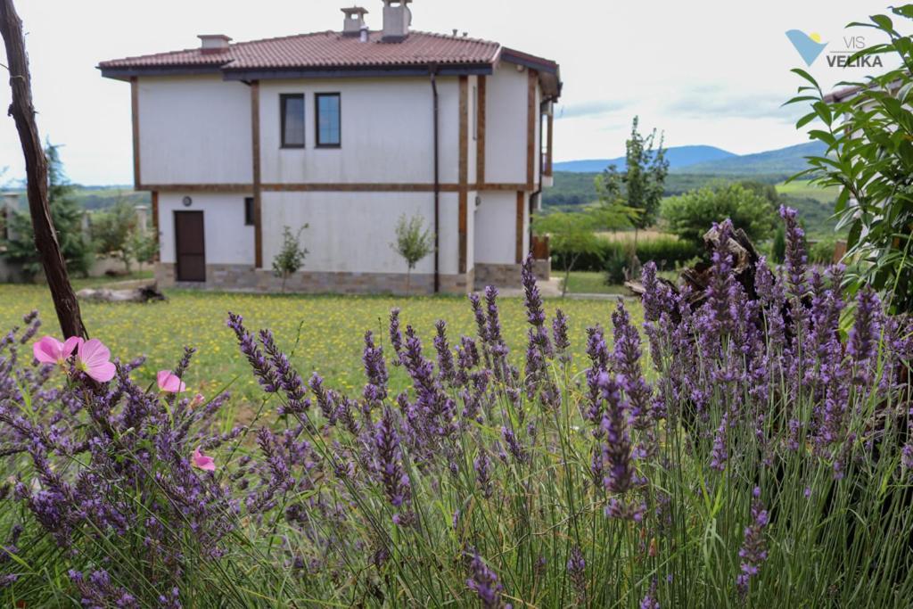 Vis Velika Bed and Breakfast Buitenkant foto